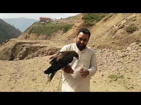 Jheel Saif ul Malook Travel Guide | Travel Guide From Lahore To Saif ul Malook On Local Transport