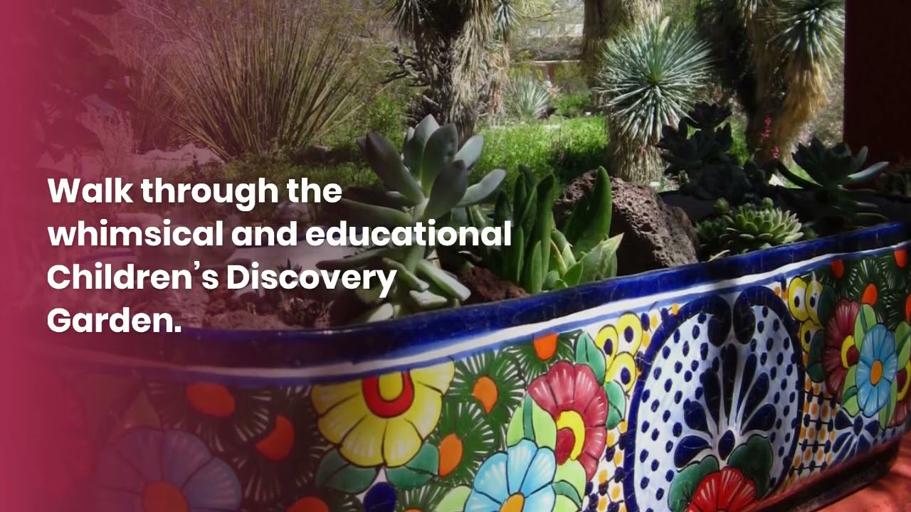 💜 Best Arizona attraction 🌼 Tucson Botanical Gardens - Free Fun Travel Guide to Arizona