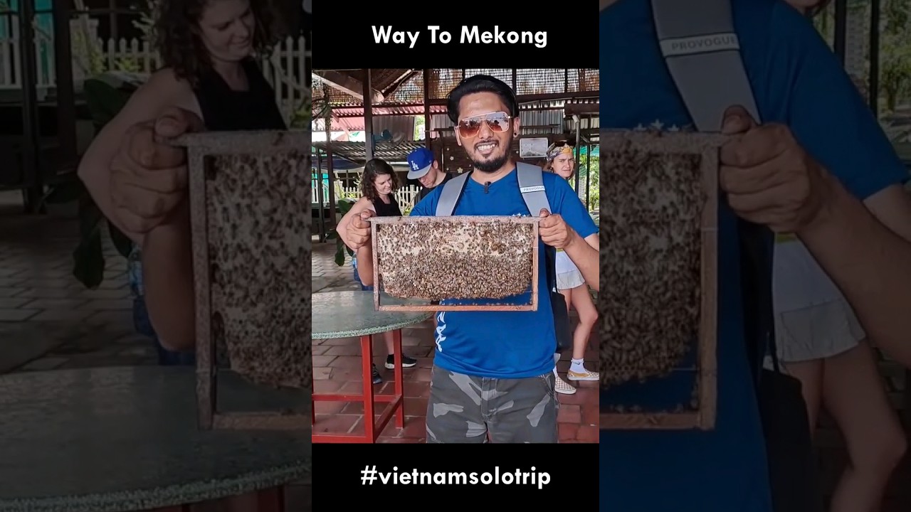 Way To Mekong Delta Vietnam | Day Tour Cost | Vietnam Travel Guide | Shorts | Dplanet Explore
